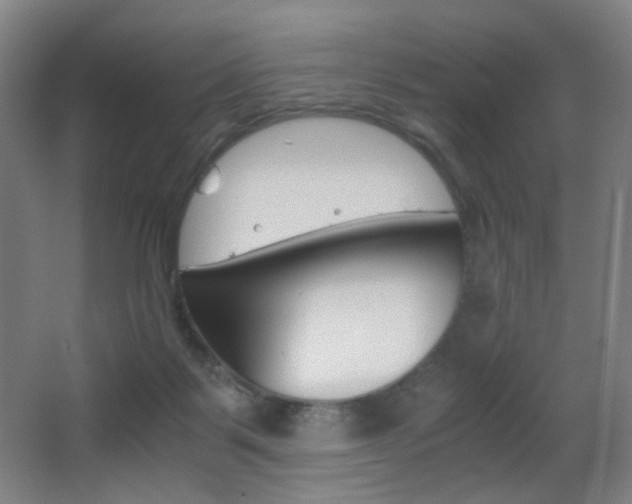 X0000062850123200601130931