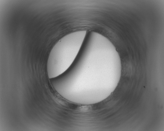 X0000062850126200601130931