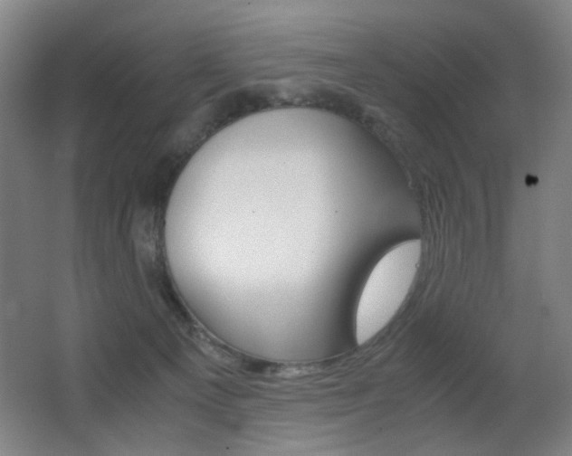 X0000062850129200601130931