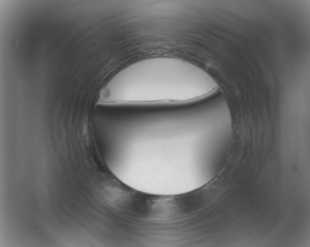 X0000062850132200601130931