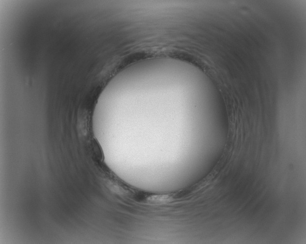 X0000062850133200601130931