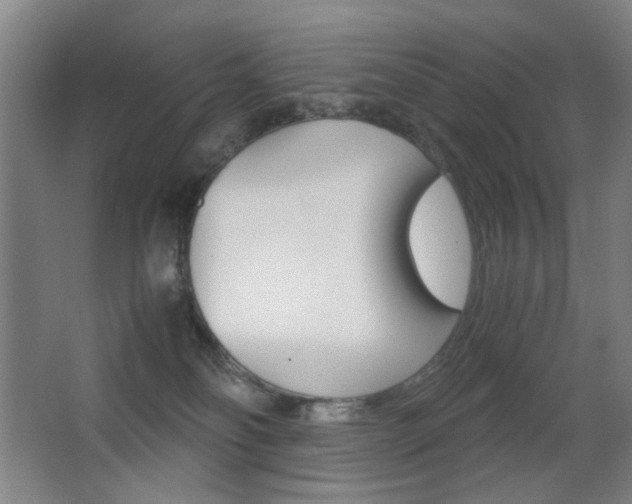 X0000062850134200601130931