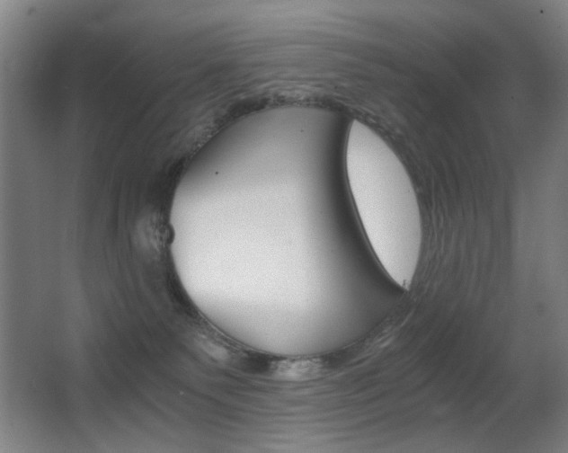 X0000062850135200601130931