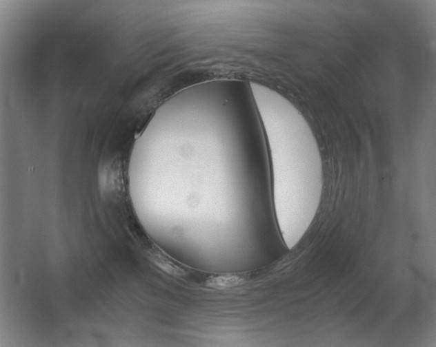 X0000062850137200601130931