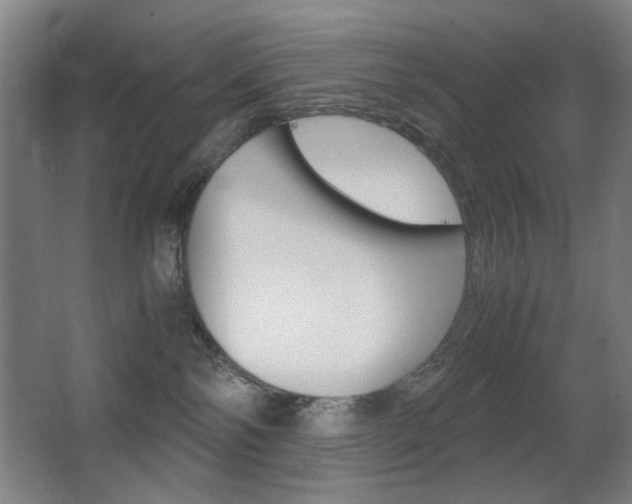 X0000062850138200601130931