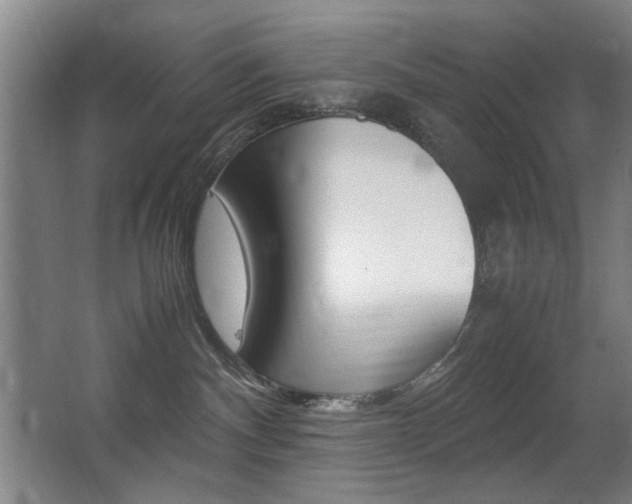 X0000062850140200601130931