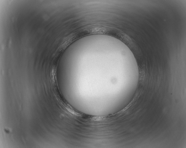 X0000062850142200601130931