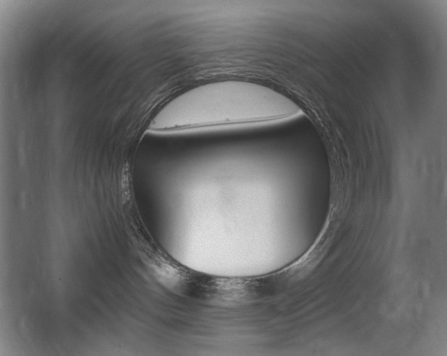 X0000062850144200601130931