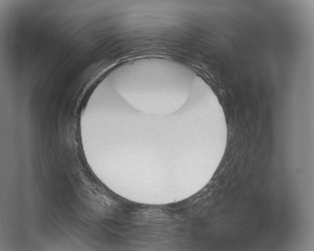 X0000062850146200601130930