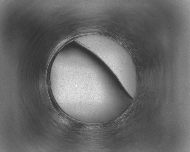 X0000062850147200601130930