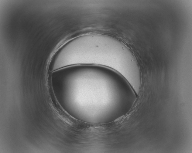 X0000062850150200601130930