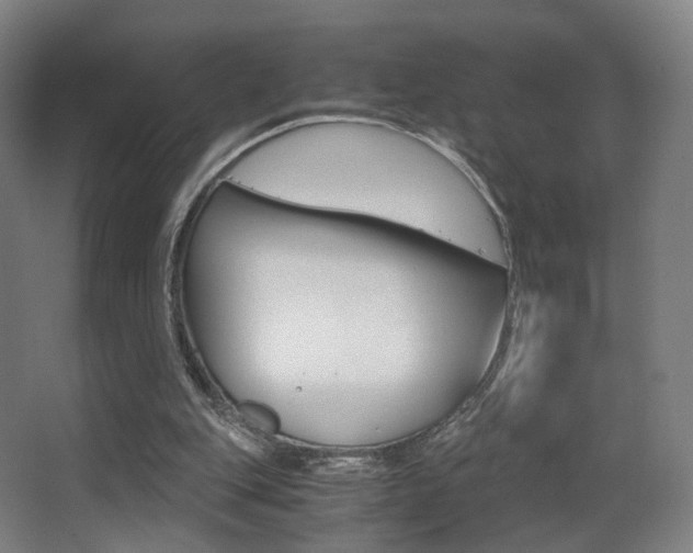 X0000062850151200601130930