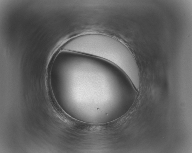 X0000062850152200601130930