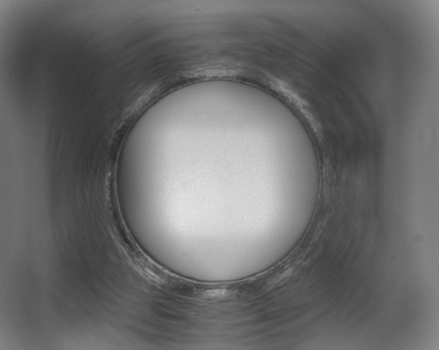 X0000062850153200601130930