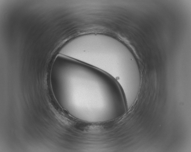 X0000062850154200601130930