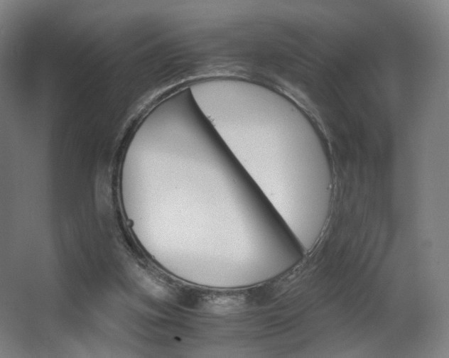 X0000062850155200601130930