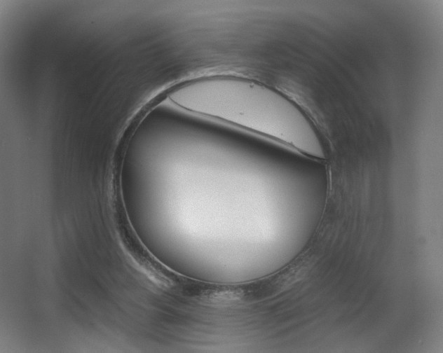 X0000062850156200601130930