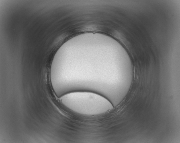 X0000062850157200601130930