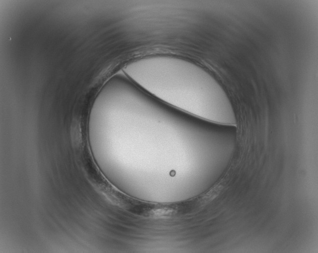 X0000062850158200601130930