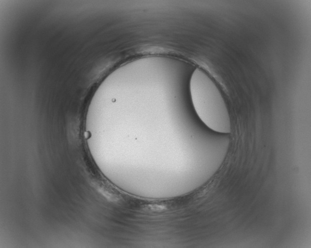 X0000062850159200601130930