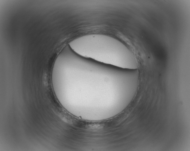 X0000062850161200601130930