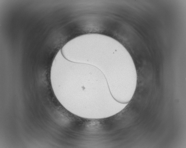 X0000062850162200601130930