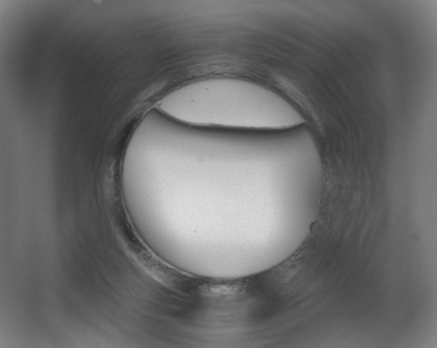 X0000062850163200601130930