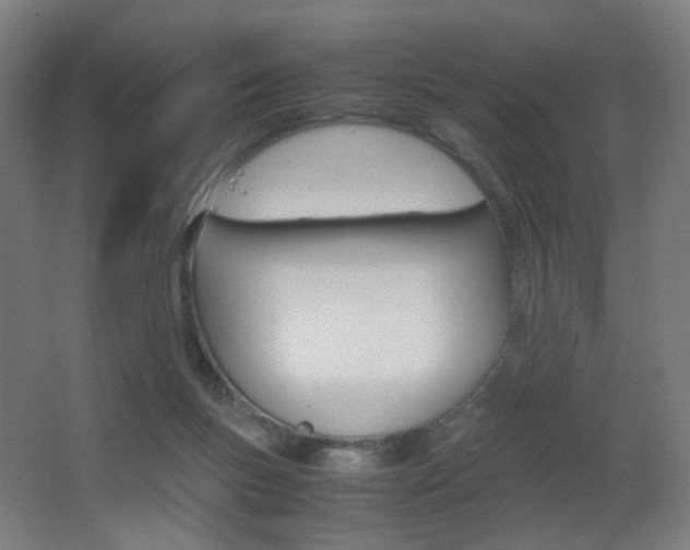 X0000062850167200601130930