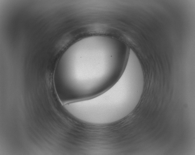 X0000062850168200601130930