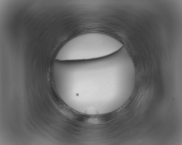 X0000062850171200601130930