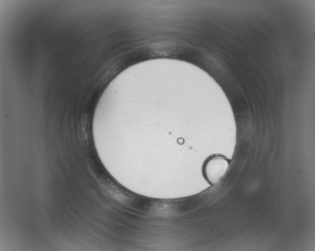 X0000062850174200601130930