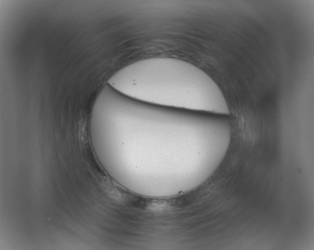 X0000062850177200601130930