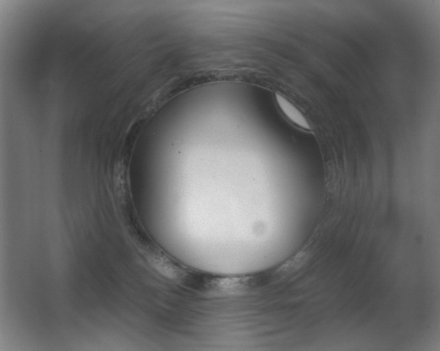 X0000062850184200601130931