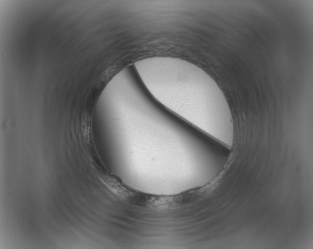 X0000062850186200601130931