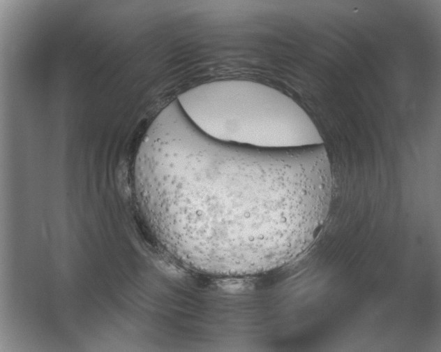 X0000062850187200601130931