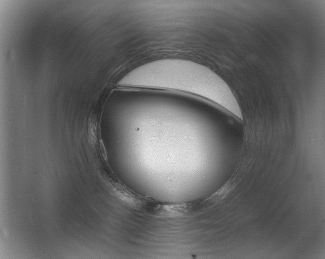 X0000062850188200601130931