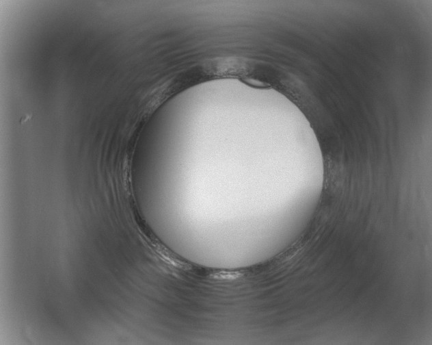 X0000062850189200601130931