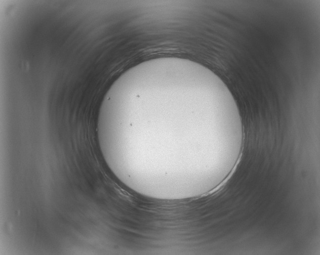 X0000062850190200601130931