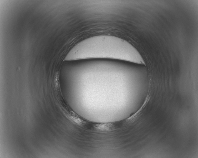 X0000062850191200601130931