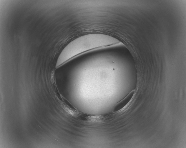 X0000062850192200601130931