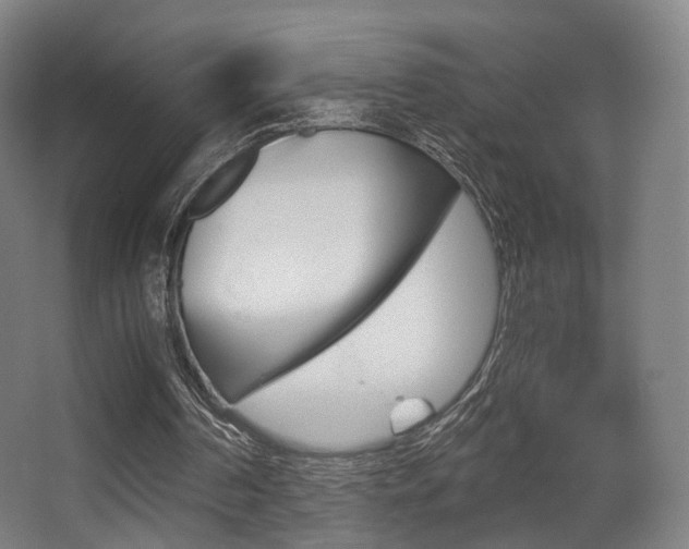 X0000062850194200601130930