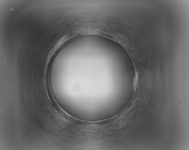 X0000062850195200601130930