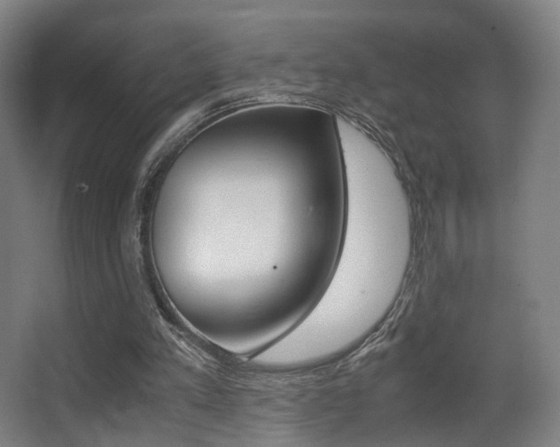 X0000062850197200601130930