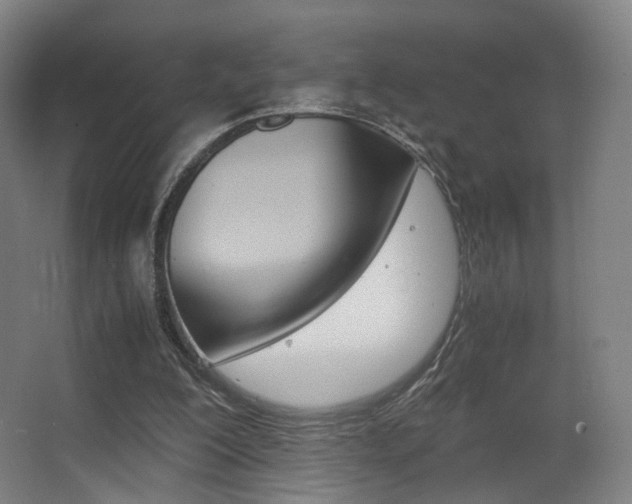 X0000062850200200601130930