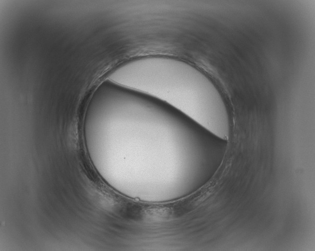 X0000062850202200601130930