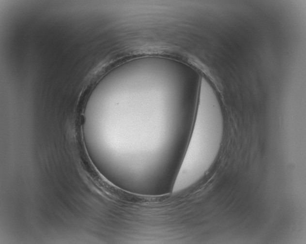 X0000062850203200601130930