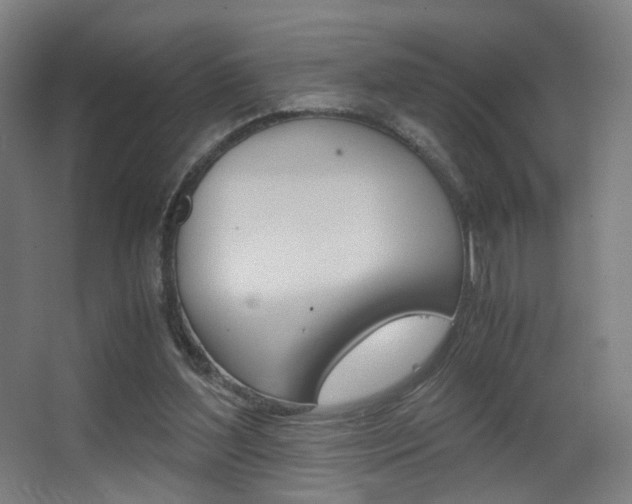 X0000062850204200601130930