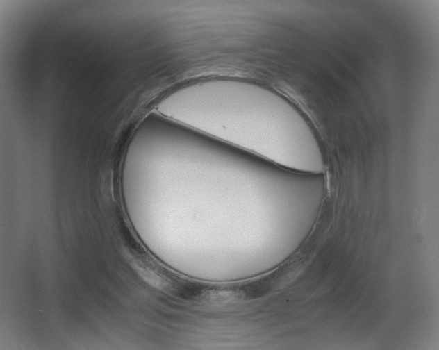 X0000062850205200601130930