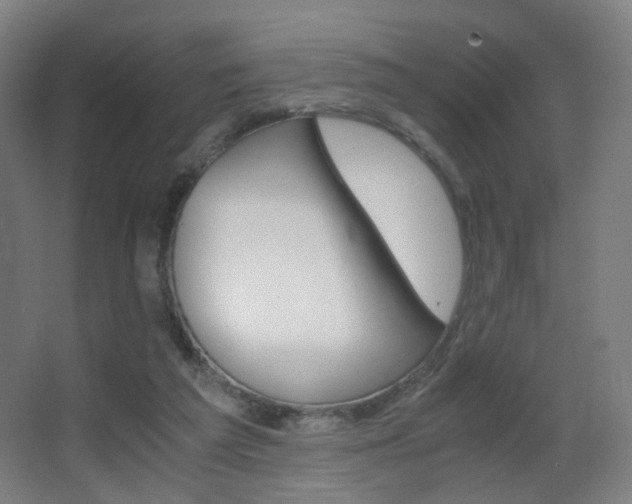 X0000062850209200601130930