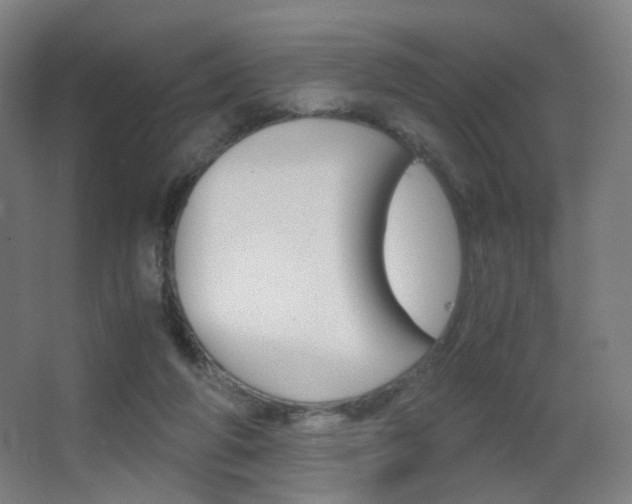 X0000062850210200601130930